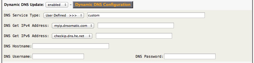 Dynamic DNS Custom Config