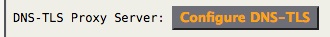 dns_tls-network-tab.jpg