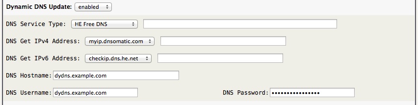 Dynamic DNS Standard Config
