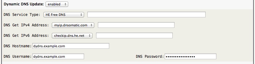 dynamic-dns-client-config.jpg