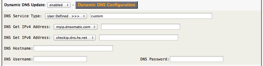 dynamic-dns-client-custom.jpg