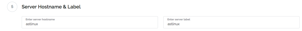 hosted_guest_vm_vultr_hostname.png