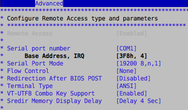 Remote Access BIOS