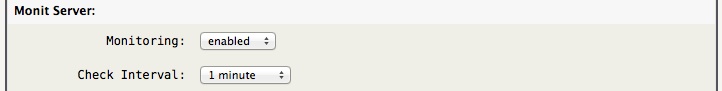 monit-server-config.jpg