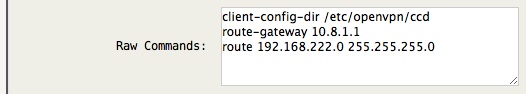 openvpn-client-net-cmds.jpg