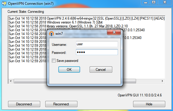 ovpn-win-gui-connect.png