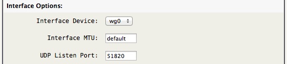wireguard-vpn-interface.jpg