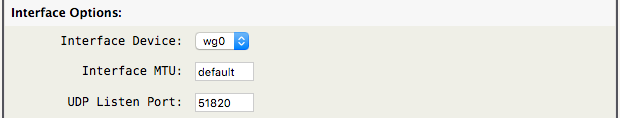 wireguard-vpn-interface.png